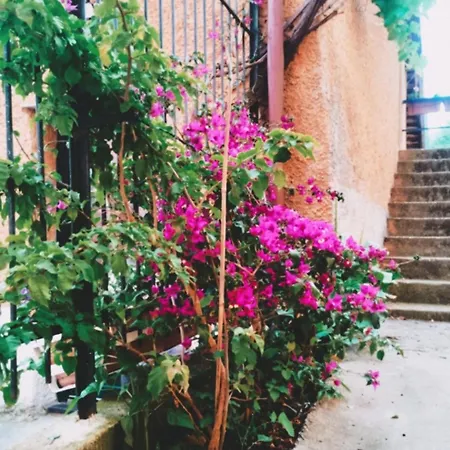 Apartamento La Casetta Da Pa' E Na'
