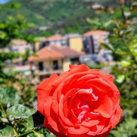 La Casetta Da Pa' E Na' Apartament Quiliano